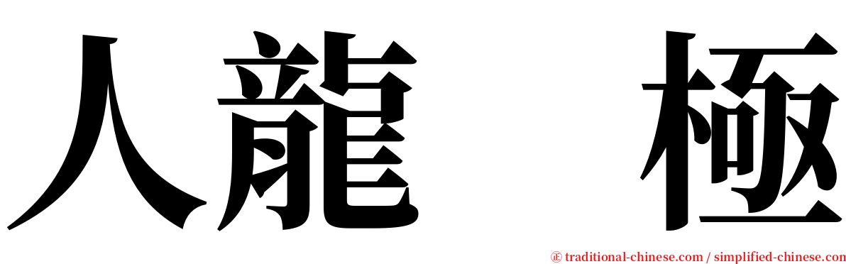人龍　極 serif font
